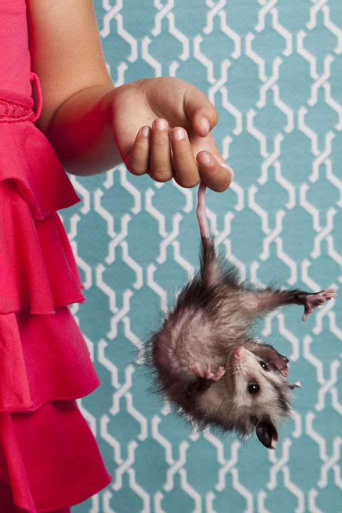 20120516-np-kids-fashion-possum-0990.jpg