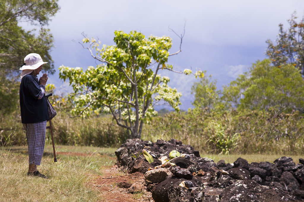 20150528-np-Oahu-1496.jpg