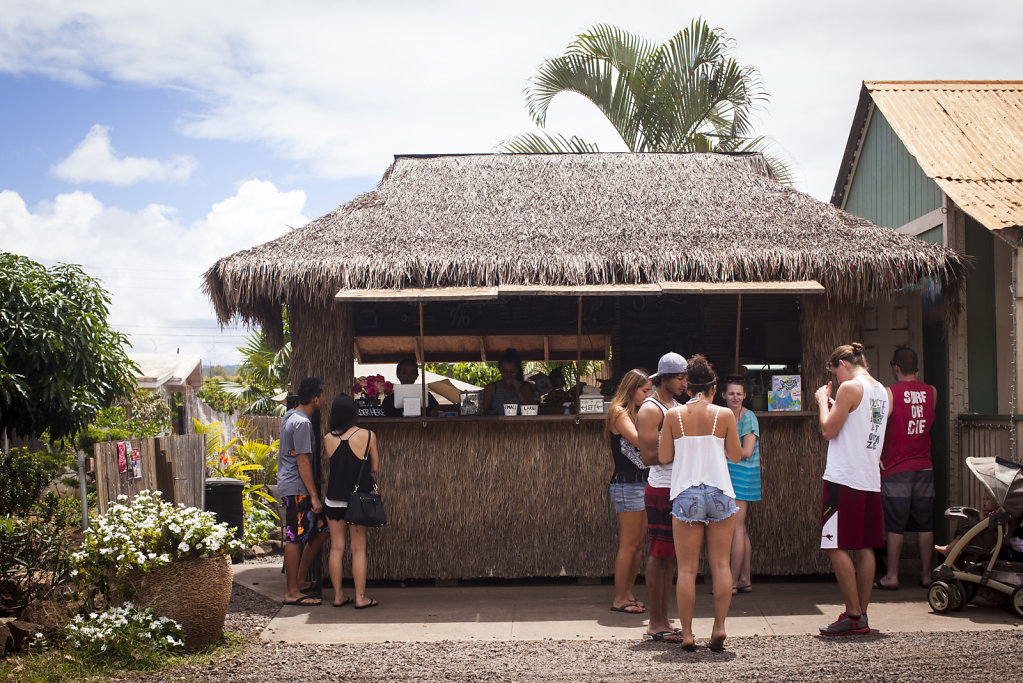 20150528-np-Oahu-4022.jpg