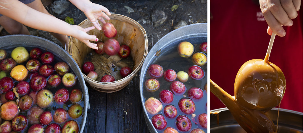 20131012-np-tess-apple-picking-2166.jpg